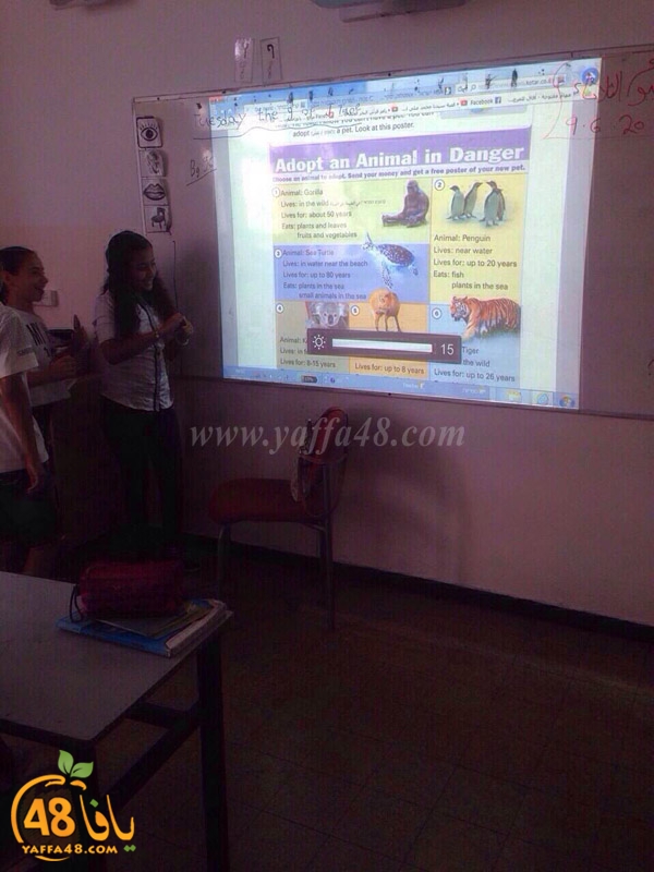 okhowajfash (11).JPG